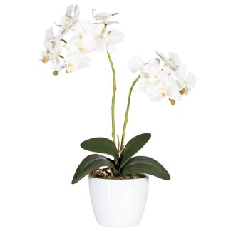 Kunstblume Kunstpflanze ORCHIDEE im Topf H 50 cm