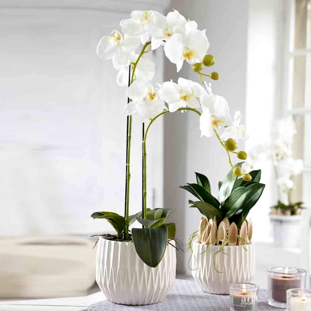 Kunstblume Kunstpflanze ORCHIDEE mit Erde H 65 cm