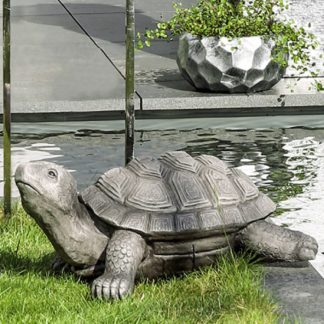 Figur Schildkröte TURTLE Casablanca B 55 | 65 cm