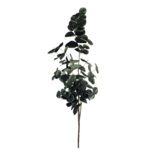 Eukalyptus Zweig ASA H 45,0 cm