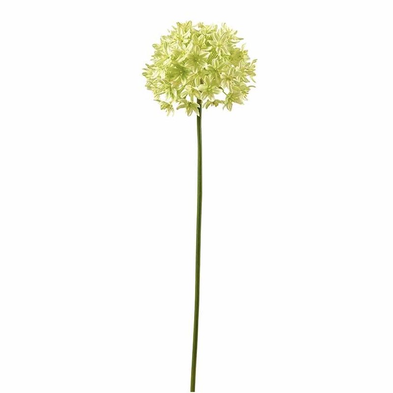 Kunstblume Seide ALLIUM Zweig grün L 58 cm