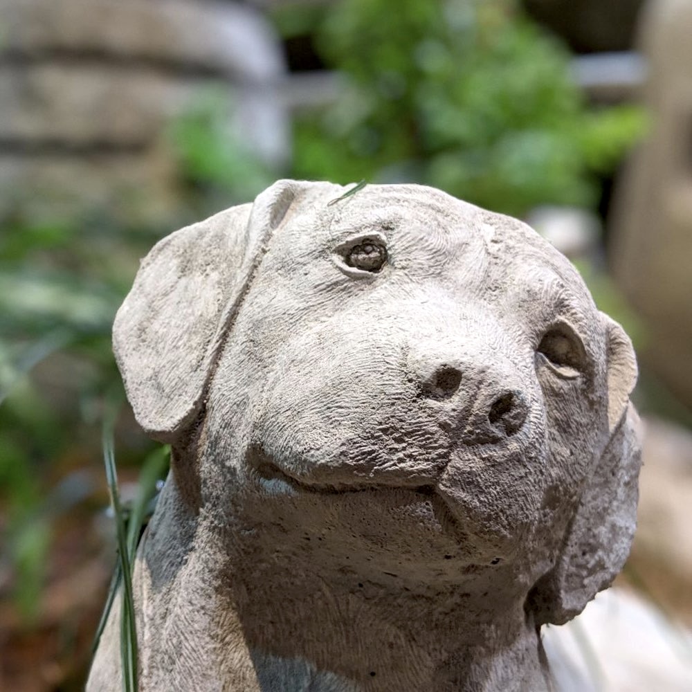 Steinfigur Garten Hund Labrador Breite 40 cm