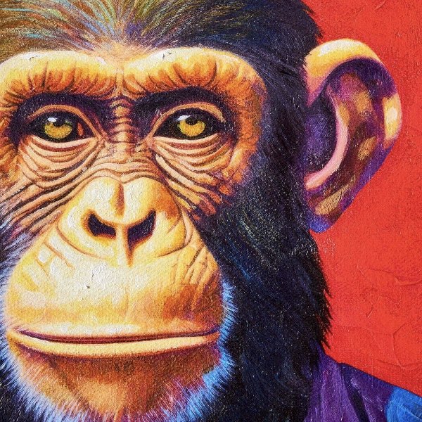 Leinwandbild Business Monkey rot 30x40 cm