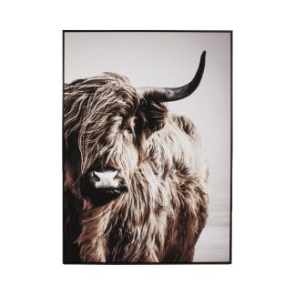 Wandbild HIGHLAND Bison 103x143 cm
