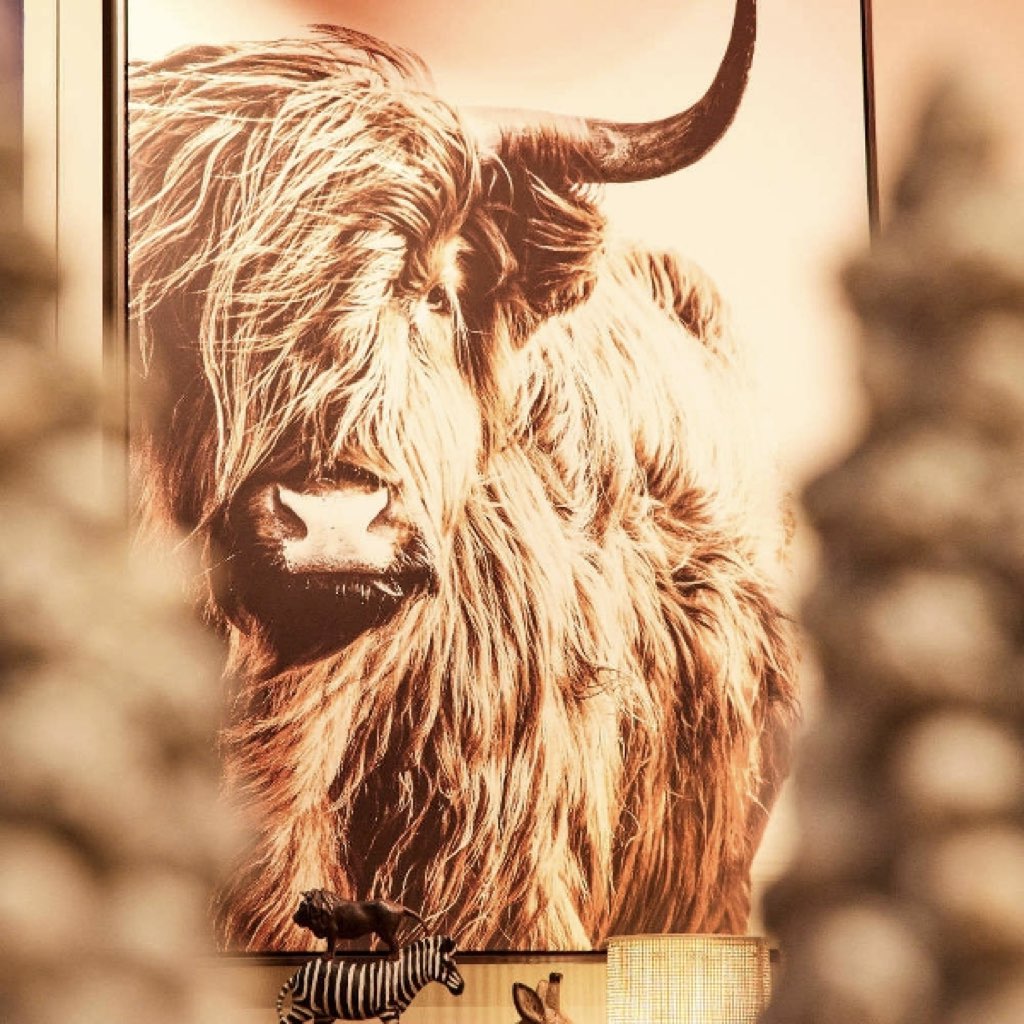 Wandbild HIGHLAND Bison 103x143 cm